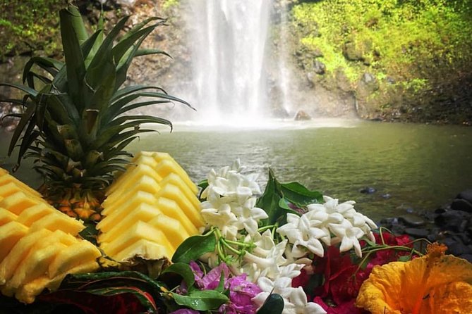 Half-Day Kayak and Waterfall Hike Tour in Kauai With Lunch - Tour Overview and Inclusions