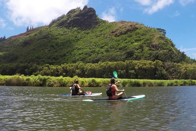 Half-Day Kayak and Waterfall Hike Tour in Kauai With Lunch - Tour Guide Knowledge and Presentation
