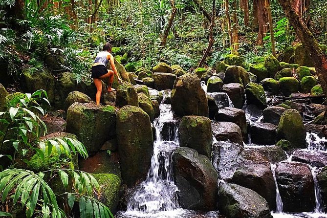 Half-Day Kayak and Waterfall Hike Tour in Kauai With Lunch - Highlights and Recommendations