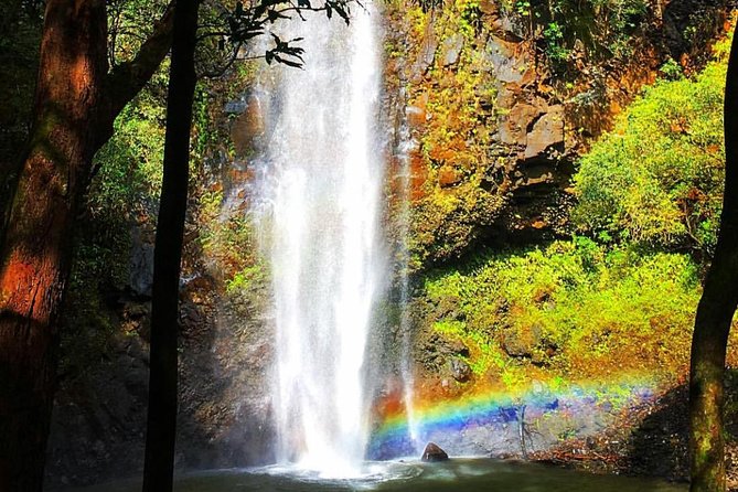 Half-Day Kayak and Waterfall Hike Tour in Kauai With Lunch - Directions