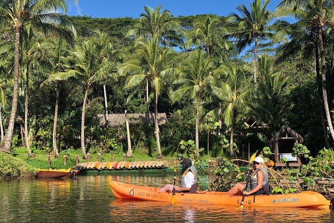 Half-Day Kayak and Waterfall Hike Tour in Kauai With Lunch - The Sum Up