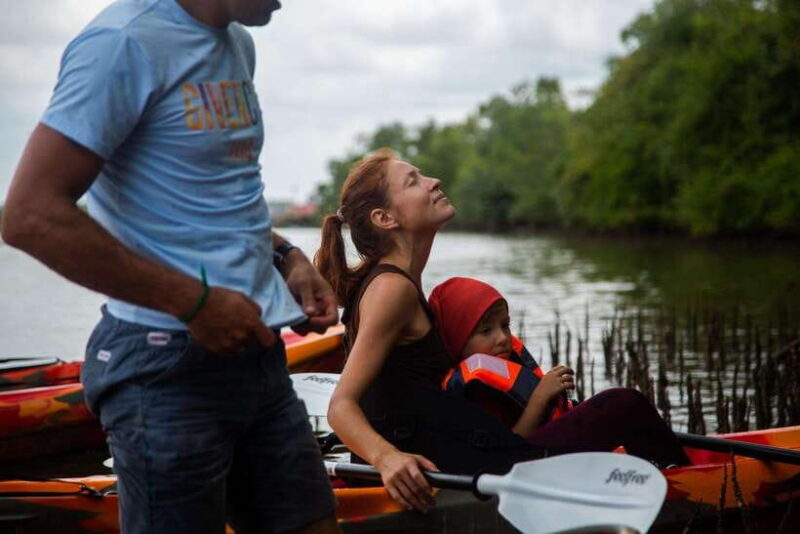 Half Day Kayak Guided Tour to the Green Mangroves Forest - Good To Know