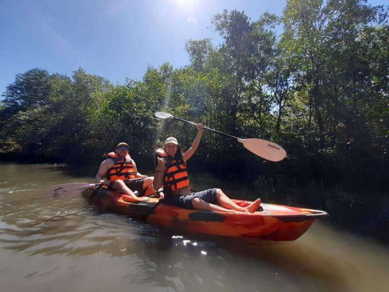 Half Day Kayak Guided Tour to the Green Mangroves Forest - The Experience in Detail