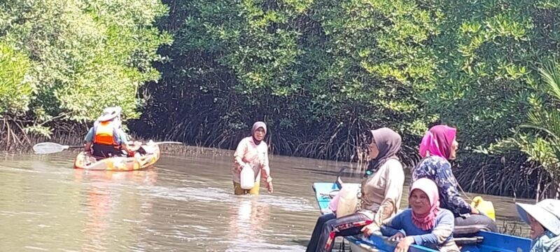 Half Day Kayak Guided Tour to the Green Mangroves Forest - Final Thoughts