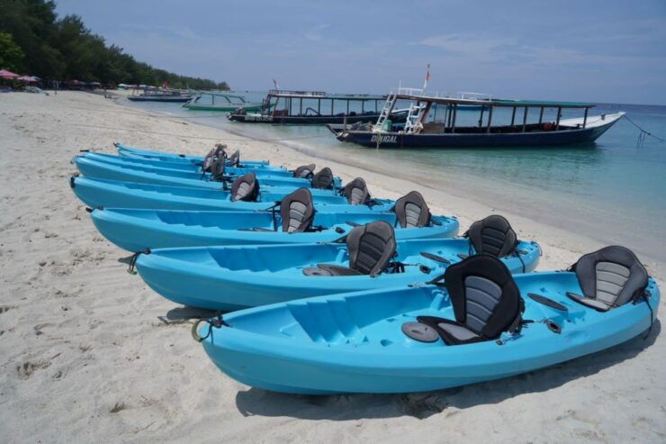 Half Day Kayak or Stand up Paddle Board - Good To Know
