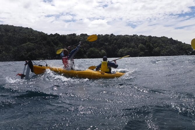 Half-Day Kayak to the Maori Rock Carvings in Lake Taupo - Overview and Experience