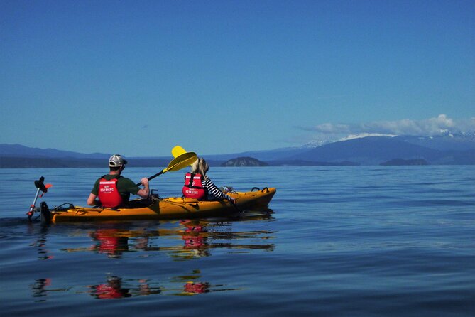 Half-Day Kayak to the Maori Rock Carvings in Lake Taupo - Meeting and Pickup