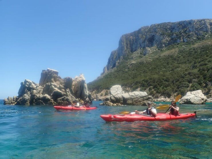 Half Day Kayak Tour of Capo Figari, Golfo Aranci (4 Hours) - Experience Highlights