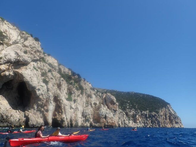 Half Day Kayak Tour of Capo Figari, Golfo Aranci (4 Hours) - Important Information