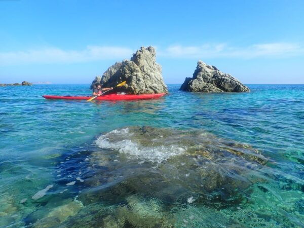 Half Day Kayak Tour of Capo Figari, Golfo Aranci (4 Hours) - What to Bring