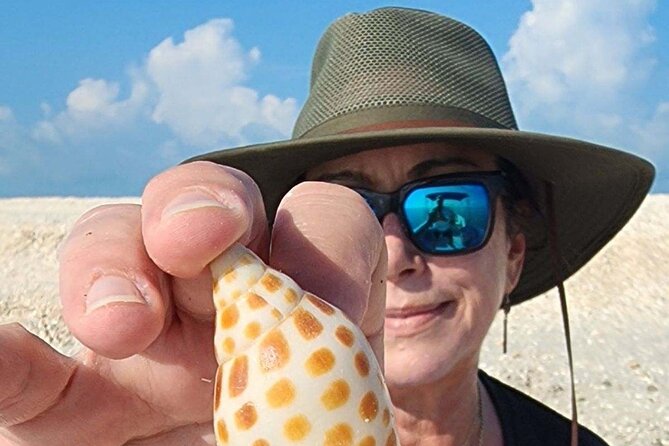 Half Day Keewaydin Shelling and Beach Adventure (Private) - End Point and Cancellation Policy