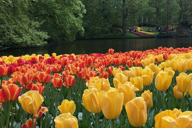 Half Day Keukenhof Tulip Paradise Trip From Amsterdam - Keukenhof: A Springtime Wonderland