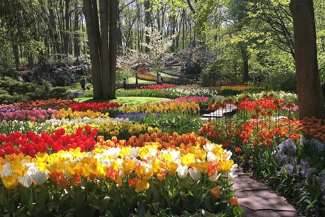 Half Day Keukenhof Tulip Paradise Trip From Amsterdam - Half-Day Itinerary and Highlights