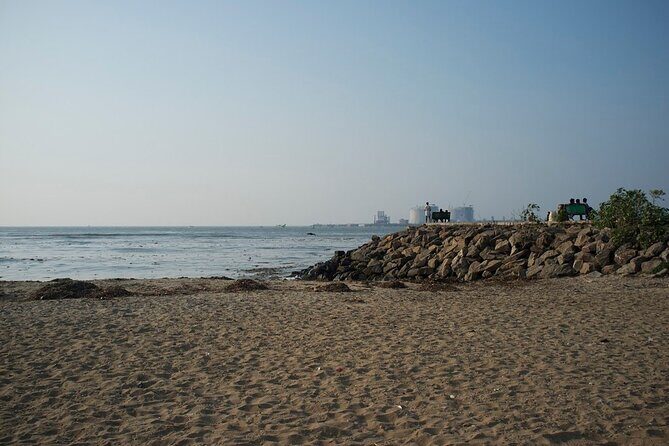 Half Day Kochi City Tour, a Kathakali Classical Dance Performance and Dinner - Final Thoughts