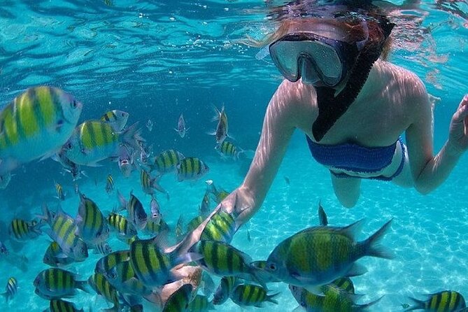 Half-Day Koh Khai Island Tour With Pick up - Pricing and Terms for the Tour