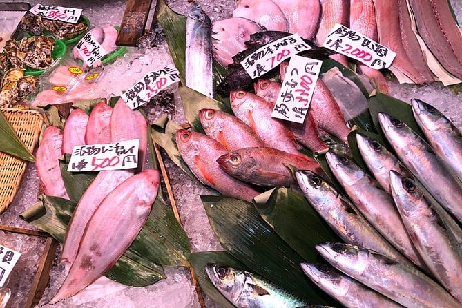 Half-Day Kokura Walking Tour Including TOTO Museum - The Sum Up