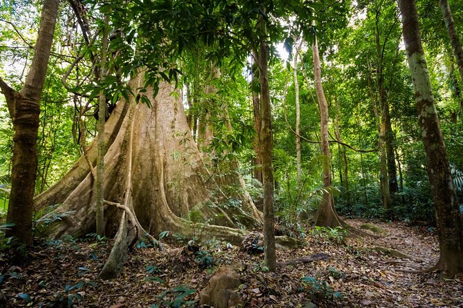 Half Day Krabi Jungle Tour at Hot Spring and Emerald Pool - Tour Inclusions and Pricing