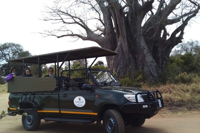 Half Day Kruger Open Vehicle Safari From Marloth Park - Wildlife Encounters