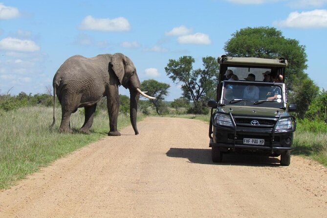 Half Day Kruger Open Vehicle Safari From Marloth Park - Professional Photography Services