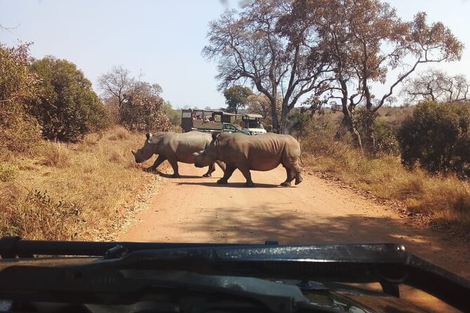 Half Day Kruger Open Vehicle Safari From Marloth Park - The Sum Up