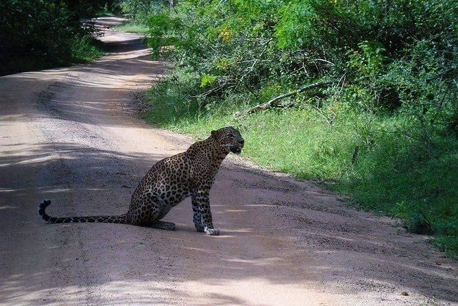 Half-Day Kumana National Park Private Safari With Pickup - Directions