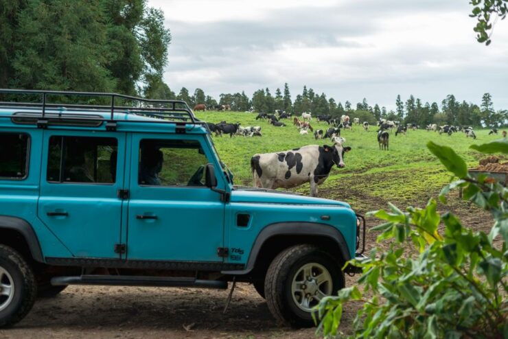 Half Day Lagoa Do Fogo 4X4 Tour and Gin Library - Tour Highlights