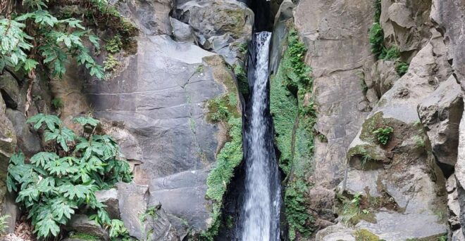 Half Day Lagoa Do Fogo 4X4 Tour and Gin Library - Inclusions