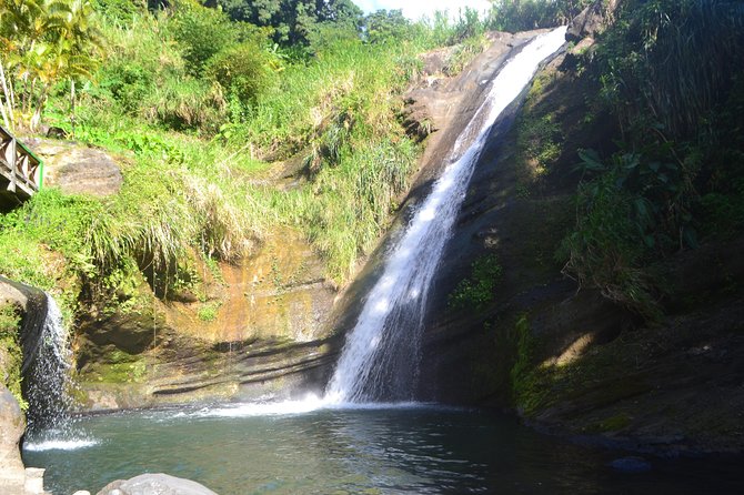 Half Day Lance Aux Epines Experience  - Grenada - Tour Guide Chris