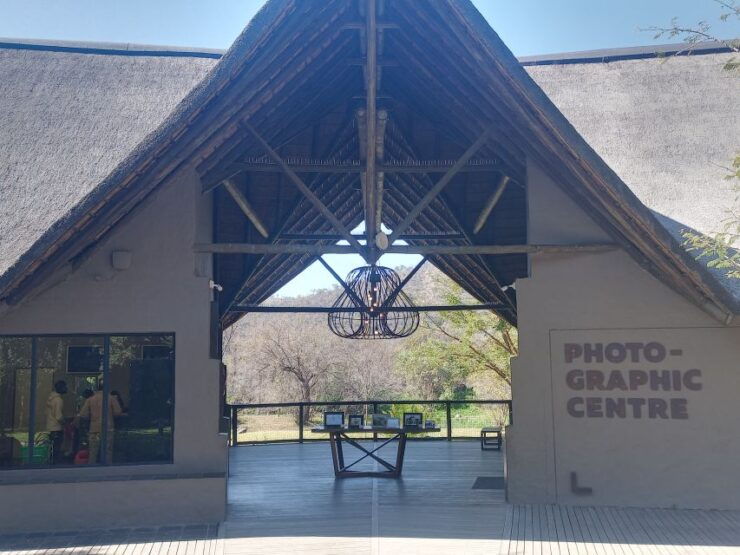Half Day Lion Park - Activity Overview