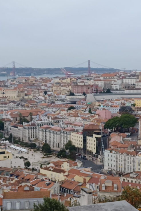 Half Day Lisbon Tour Small Group Through the City of 7 Hills - Itinerary and Highlights