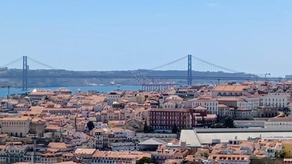 Half Day Lisbon Tour Small Group Through the City of 7 Hills - Customer Feedback