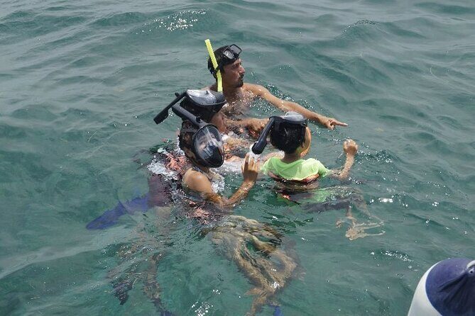 Half Day Lite Tour to Isla Mujeres - Who This Tour Is Best Suited For