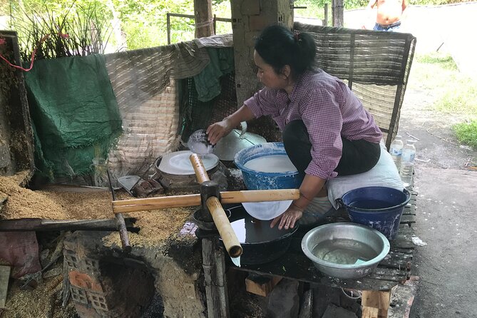 Half-Day Livelihood Tour - Battambang City & Villages - Highlights