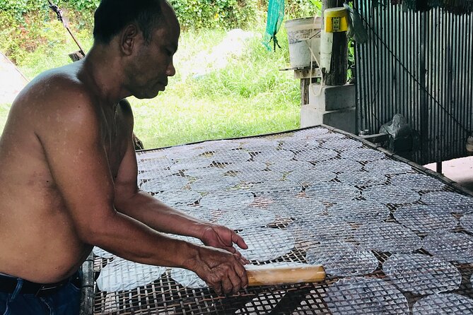Half-Day Livelihood Tour - Battambang City & Villages - Cultural Experiences