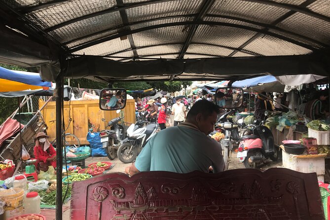 Half-Day Livelihood Tour - Battambang City & Villages - Village Visits