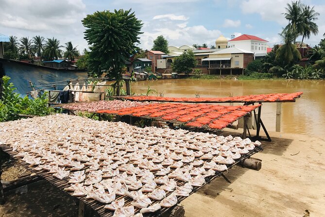 Half-Day Livelihood Tour - Battambang City & Villages - Common Questions