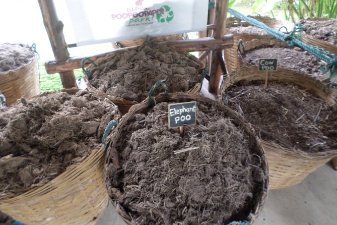 Half Day Long Neck Hill Tribe and Elephant POOPOOPAPER Park (Private Tour) - Tour Overview