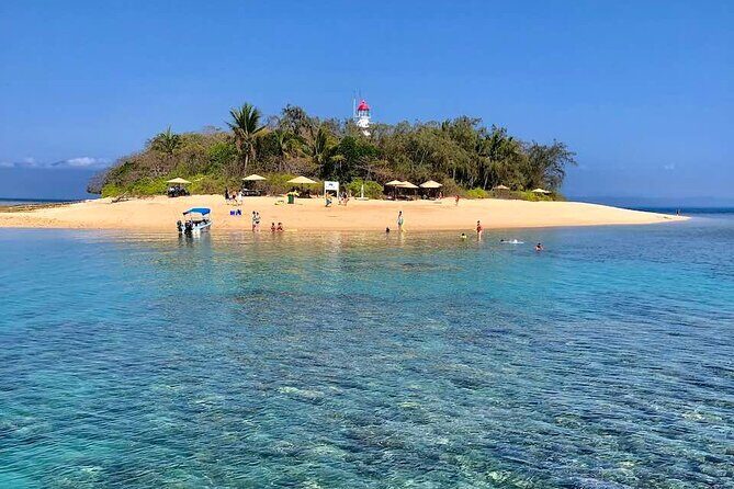 Half Day Low Island and Lagoon Snorkeling from Port Douglas - Why Choose This Tour?