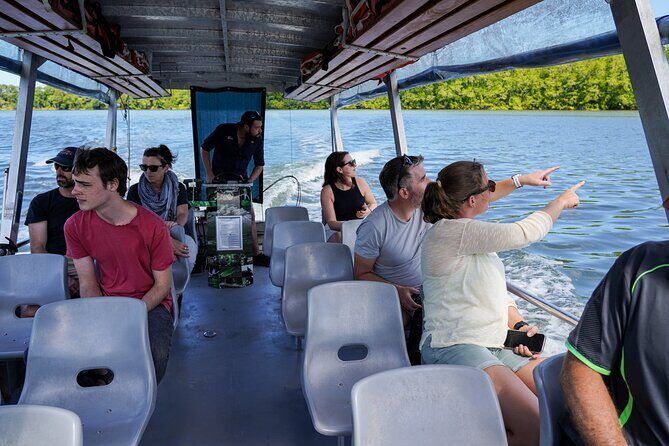 Half Day Low Island and Lagoon Snorkeling from Port Douglas - Authentic Experiences from Past Travelers