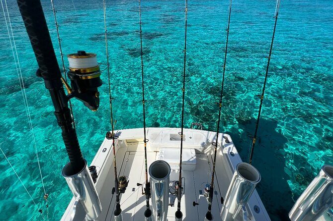 Half Day Luxury Private Fishing Charters in Cayman Islands - An In-Depth Look at the Experience