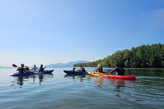 Half Day Mangrove and Lanta Old Town Tour - Good To Know