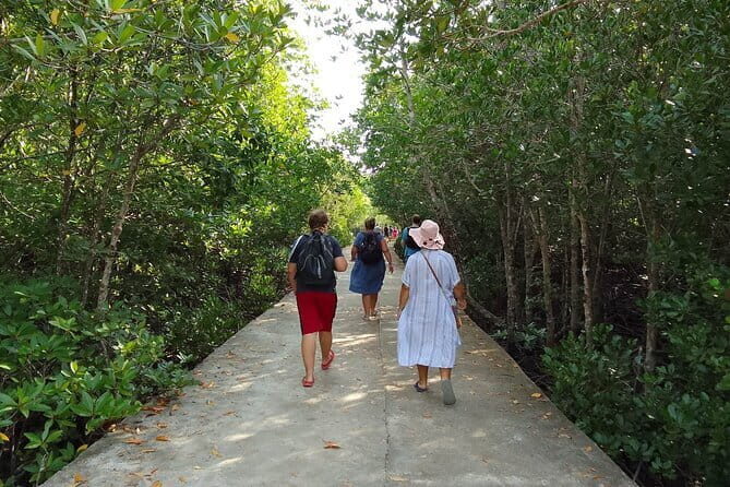 Half Day Mangrove and Lanta Old Town Tour - An In-Depth Look at the Tour Experience