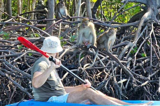 Half Day Mangrove and Lanta Old Town Tour - Who Is This Tour Best For?