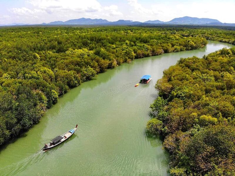 Half Day Mangrove Forest Boat Tour with Lunch or Dinner - Good To Know