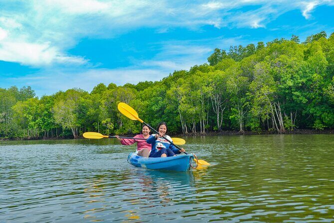 Half Day Mangrove Kayaking Adventure Tour From Koh Lanta - Good To Know