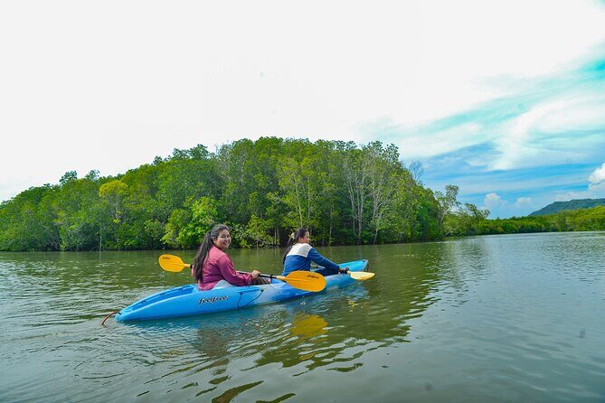Half Day Mangrove Kayaking Adventure Tour From Koh Lanta - Introduction to the Tour Experience
