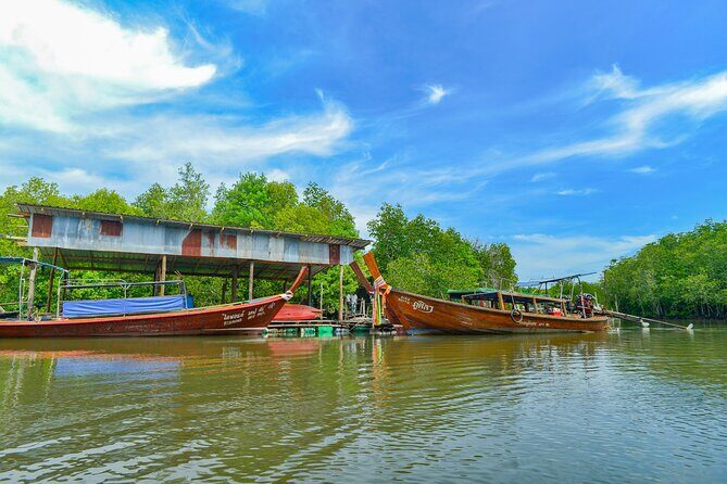Half Day Mangrove Kayaking Adventure Tour From Koh Lanta - Practical Tips & Considerations