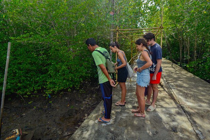 Half Day Mangrove Kayaking Adventure Tour From Koh Lanta - Frequently Asked Questions