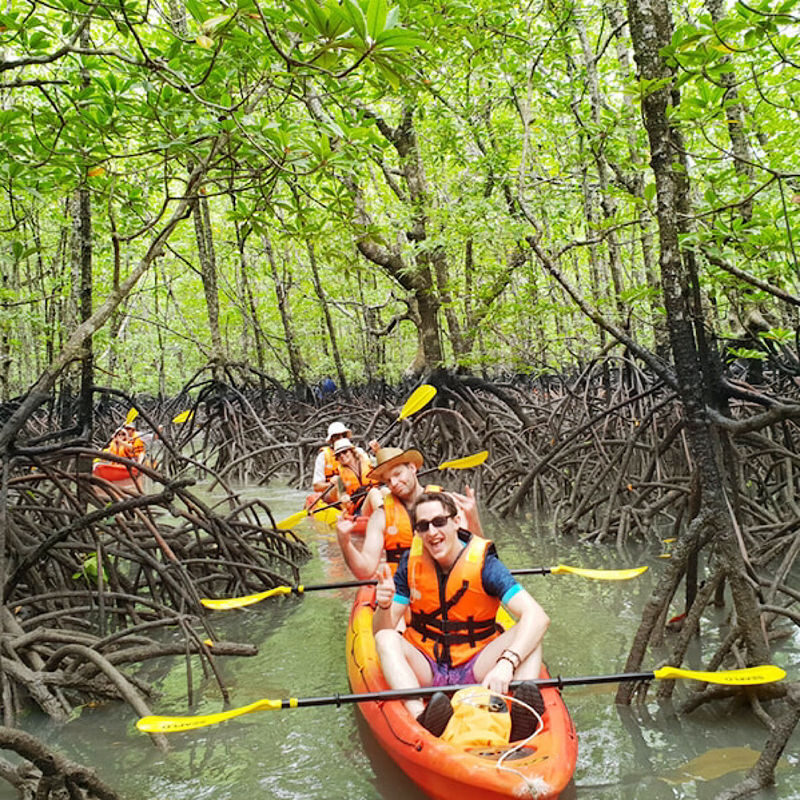 Half-day Mangrove Kayaking Tour from Ko Lanta with Lunch - Starting from Tung Yee Peng Pier