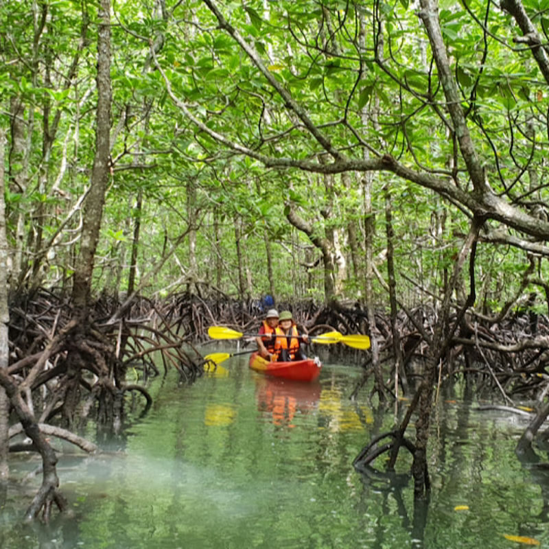 Half-day Mangrove Kayaking Tour from Ko Lanta with Lunch - The fish farm and lunch stop